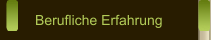 Berufliche Erfahrung