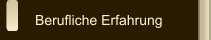 Berufliche Erfahrung